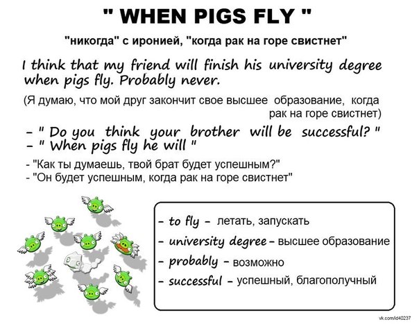 Идиома when pigs fly
