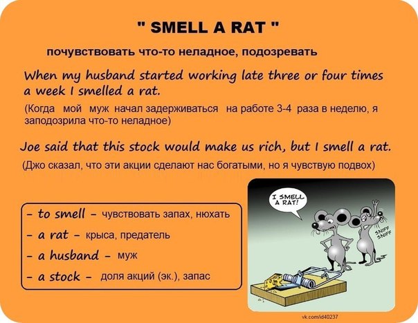Idiom smell a rat