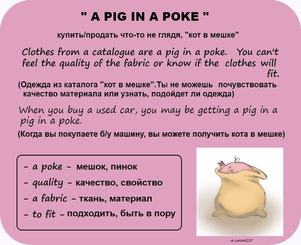 a pig an a poke